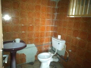Image 1 Title