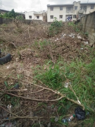 Half Plot Of Land In A Senere Neighborhood  1 Plot of Land for Sale Ogudu Lagos Vetra  Property