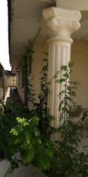 Image 1 Title
