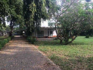 Image 1 Title