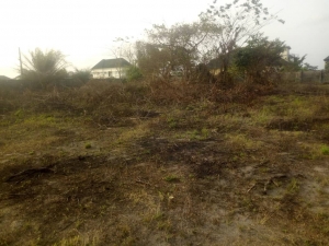  Half Plot Of Land 1 Plot of Land for Sale Ajah Lagos Vetra  Property