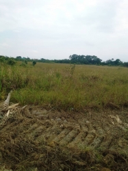 8857.527 Sqm Land (14 Plots) @ Ikeja - Adeniyi Jones 8,858 Meter Square of Land for Sale Ikeja Lagos Vetra  Property