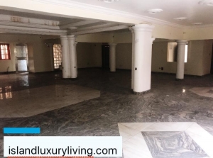 Two Fully Detached Buildings In One(1) Compound Perfect For Commercial And Residential Use Commercial Property for Rent Victoria Island Lagos Vetra  Property