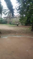 Image 1 Title