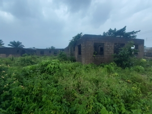 9 Nos Of Mini Flat Uncompleted Upto Decking Level Corner Piece At Aiyetoro 9 bedroom Flat for Sale Agege Lagos Vetra  Property
