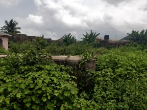 2 Plots Together With Gemma Floor On It Fence Gate At Ayetoro 2 Plots of Land for Sale Ipaja Lagos Vetra  Property