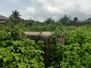 Image 1 Title