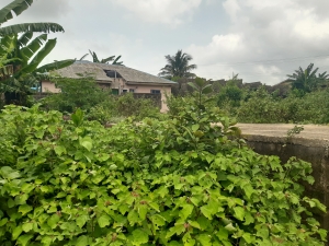 Image 1 Title