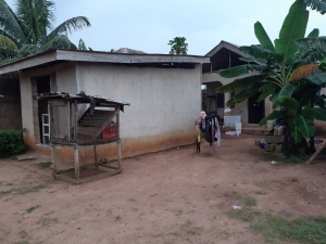 Image 1 Title