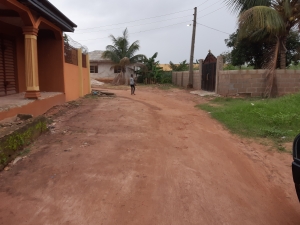 Image 1 Title