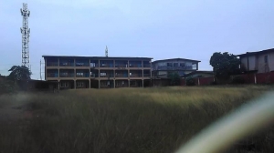Image 1 Title