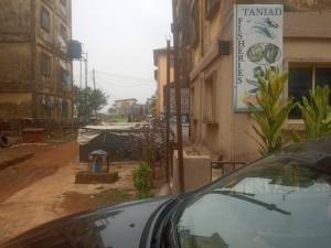 Image 1 Title