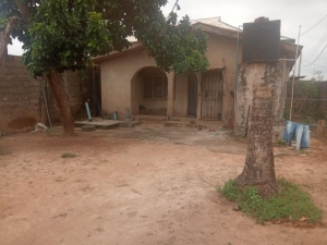 Image 1 Title