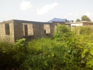 Full Plot Of Land Of 2 Bedroom Flat Uncompleted In A Very Decent Area  1 Plot of Land for Sale Ikotun Igando Lagos Vetra  Property