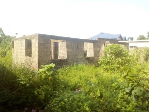 Image 1 Title