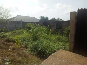 Image 1 Title