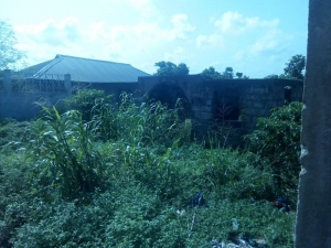 Image 1 Title