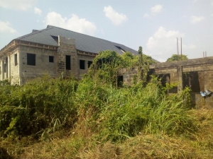Image 1 Title