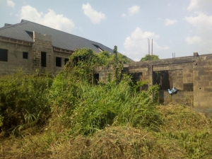 Image 1 Title