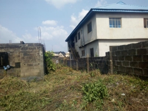 Image 1 Title