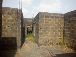 Image 1 Title
