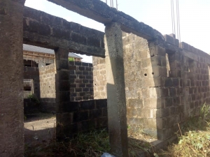 Image 1 Title