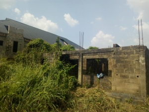 Image 1 Title