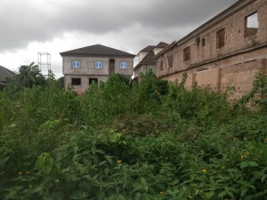 Full Plot Of Land In A Very Decent Area 1 Plot of Land for Sale Ipaja Lagos Vetra  Property