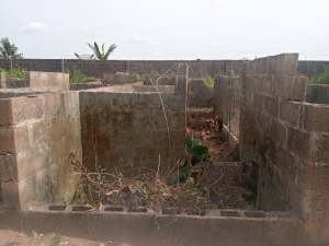 Image 1 Title