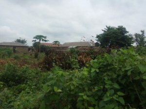 Full Plot Of Land In A Decent Area  1 Plot of Land for Sale Ipaja Lagos Vetra  Property