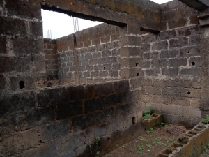 Image 1 Title