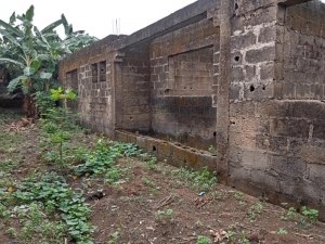 Image 1 Title