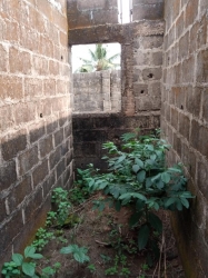 Image 1 Title