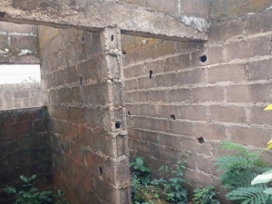 Image 1 Title