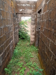 Image 1 Title
