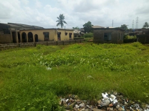 Image 1 Title