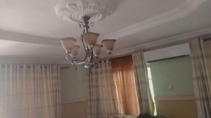Image 1 Title