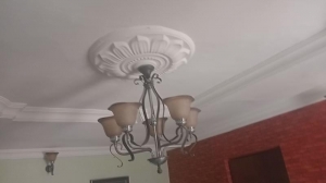 Image 1 Title