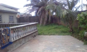 Image 1 Title