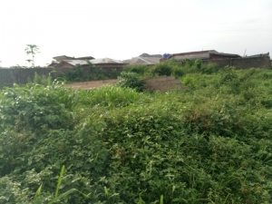 Full Plolt Of Land Corner Pieace In A Very Decent Area  Land for Sale Ipaja Lagos Vetra  Property