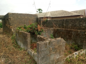 Image 1 Title