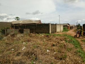 Image 1 Title