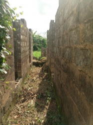 Image 1 Title