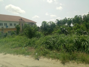 Full Plot Of Land In A Very Decent Area And Well Secure 1 Plot of Land for Sale Ikotun Igando Lagos Vetra  Property