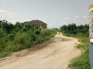 Image 1 Title