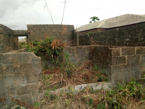 Image 1 Title