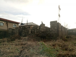 Image 1 Title