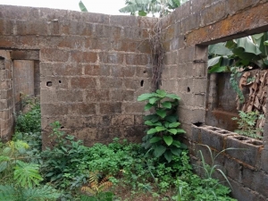 Image 1 Title