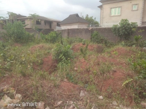 Half Plot Of Land In A Decent Estate Fenced Gate  1 Plot of Land for Sale Ipaja Lagos Vetra  Property