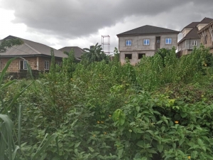 Full Plot Of Land In A Very Decent Area Fenced Gate 1 Plot of Land for Sale Ipaja Lagos Vetra  Property